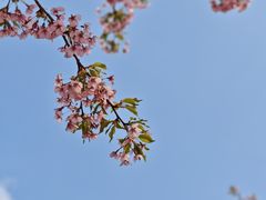 -SMP滑板公园