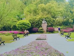 -徐家汇源景区-衡山公园