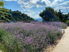 -云峰山自然风景区