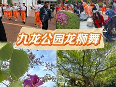 -九龙公园
