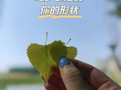 -中粮·祥云小镇