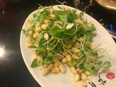 -芦月轩羊蝎子(太平桥店)