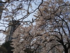 -红星桥(地铁站)