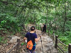 -阳台山自然风景区