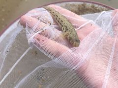 -129老爸茶丨清补凉
