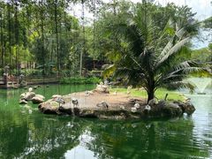 -新加坡飞禽公园