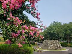 -白塘生态植物园