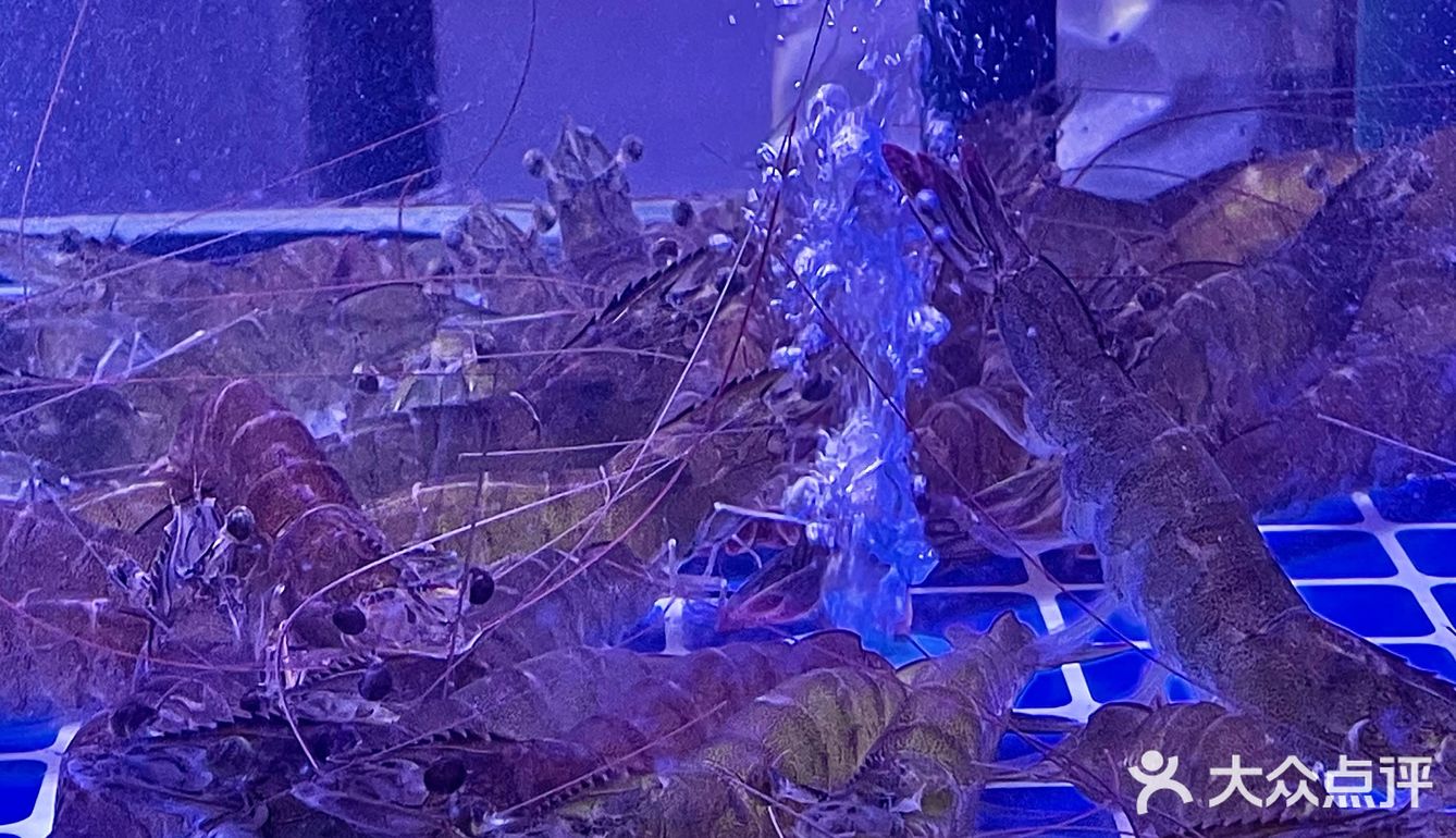 🍜海鲜面能多新鲜？活着到吃完不超十分钟…

