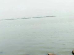 -瑶湖郊野森林公园