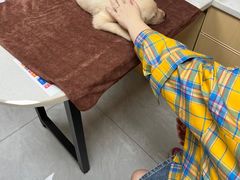 -瑞鹏宠物医院·猫科·宠保定点(梅溪湖分院)