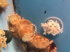 -常州海昌海洋探索馆