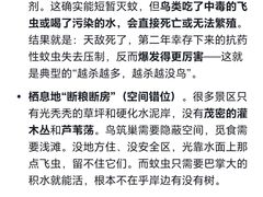 -三块石国家森林公园