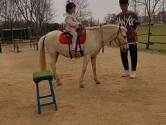 -南通洲际绿博园