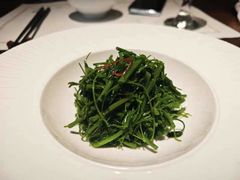 -觀芷隐轩