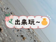 -天津东疆湾沙滩景区