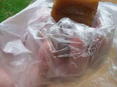 -东寨港红树林旅游区