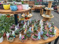 -荷兰花海