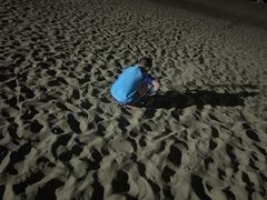 -南长涂沙滩