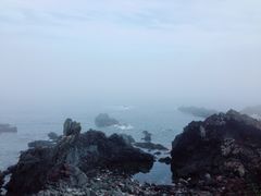-涉地可支