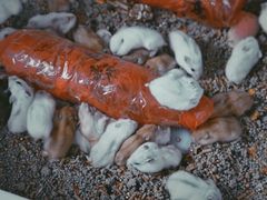 -桂林市花鸟市场