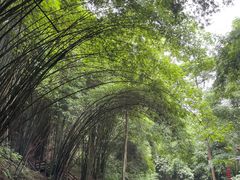 -凤栖山
