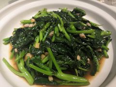 清炒荠菜-朝郡酒家·粤菜(燕大星苑店)