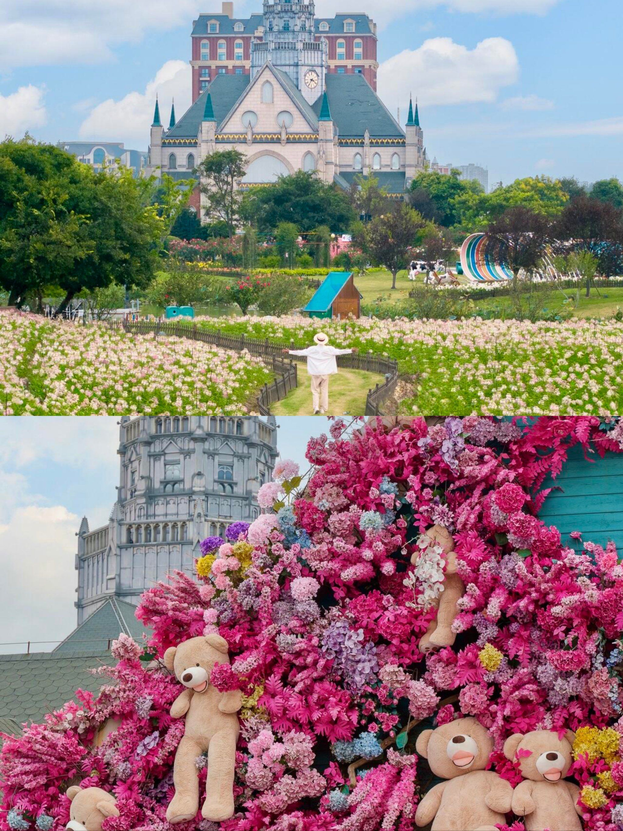 去不了荷兰,就来江苏盐城看花海94