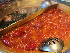 -小龙坎火锅(春熙太古里店)