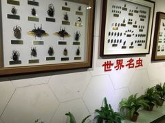 -上海昆虫博物馆