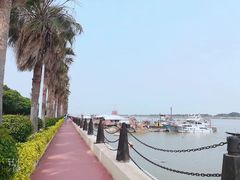 -大湾区中央湿地公园-十九涌
