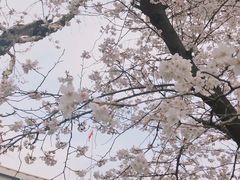 -上海南浦大桥长途旅游客运站