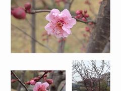 -河海大学(江宁校区)