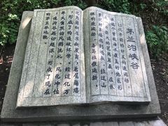 -茅兰沟国家森林公园