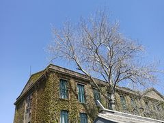 -中央戏剧学院(东城校区)
