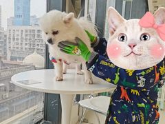 -怪兽屋·羊驼·猫咖·狗咖(俊华广场店)