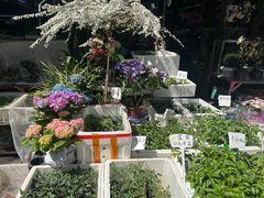 -苏州市皮市街花鸟工艺品市场