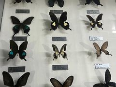 -郑州自然博物馆(惠济区)