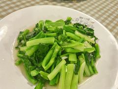 -京北渔家傲