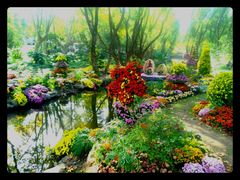 -上海共青森林公园