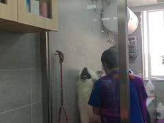 -宠福鑫康馨动物医院·骨科·眼科
