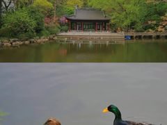 -南京东郊国宾馆