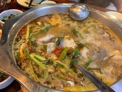 酸萝卜鱼火锅-大理.老字号渝记酸萝卜乌鱼(古城总店)