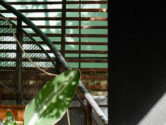 -Willing·Coffee&Brunch&Dinner(万达店)