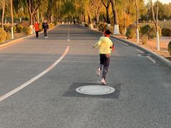 -丁香湖公园