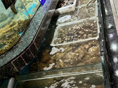 -渔码头食府(蓬莱阁店)