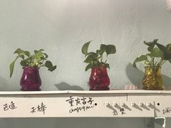 -大王油茶(二厂文创公园店)