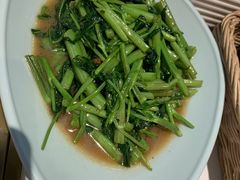 -Asianplus海蓝鸡饭