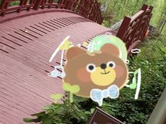 -合肥滨湖国家森林公园