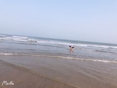-日照海滨国家森林公园