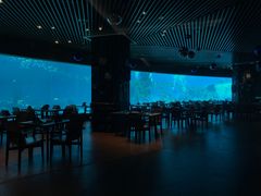 -海棠湾洲际-涛·海底餐厅·美人鱼·自助餐·海底隧道